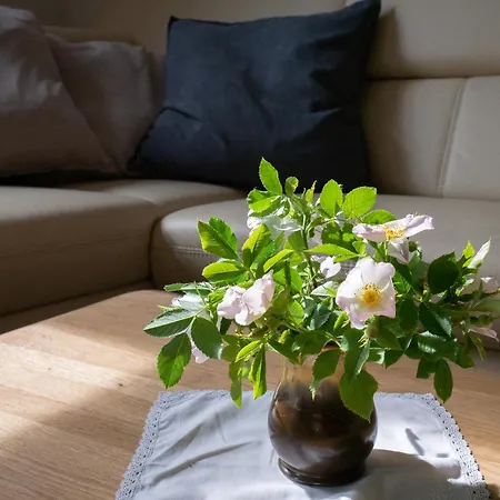 Stilvolle Nahe Leipzig Mit Wlan, Netflix, Garten Lägenhet